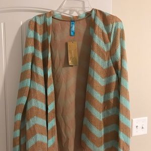 Francesca’s Mint Chevron Cardigan